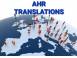 Ahr traduceri romania servicii specializate de traducere traducat contabilitate traduceri 873291 poza 6